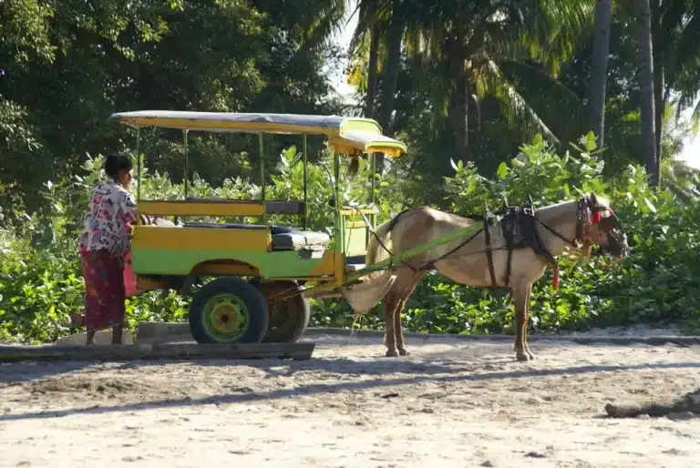 Why There Are No Cars on Gili Trawangan